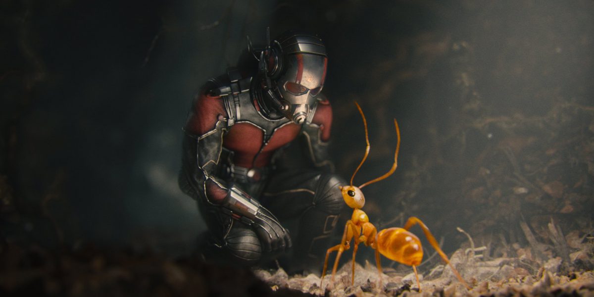 微距攝影展現極致細節，透視迷你英雄《蟻人》的微觀世界