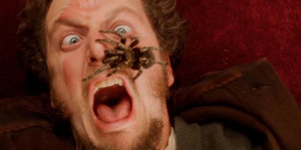 當動物與經典電影邂逅——重返《小鬼當家》《愛‧慕》的拍攝現場