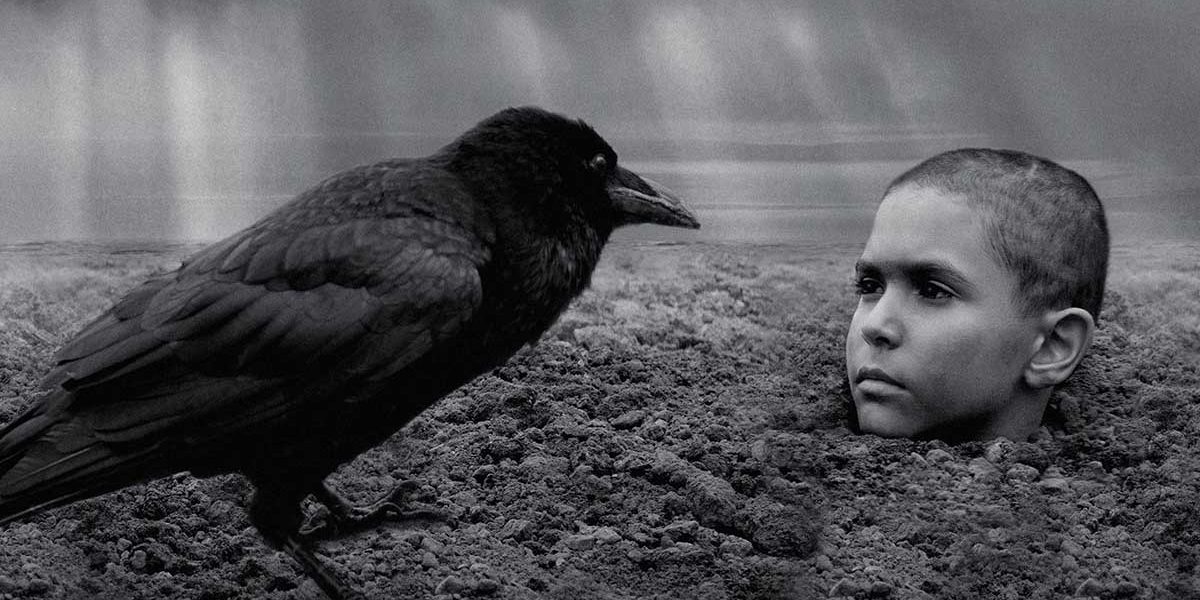 《異端鳥》改編經典二戰小說，黑白影像刻劃暴力與死亡